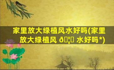 家里放大绿植风水好吗(家里放大绿植风 🦊 水好吗*
)